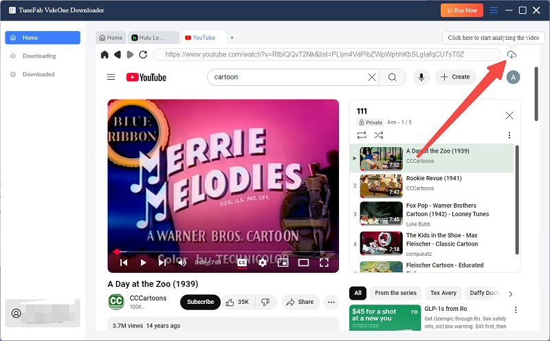 Add YouTube Playlists to Convert