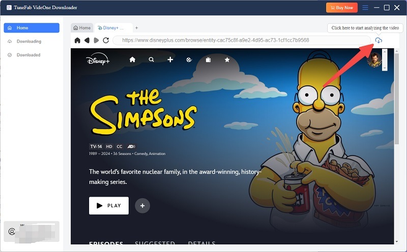 Select Disney Plus Show Episodes