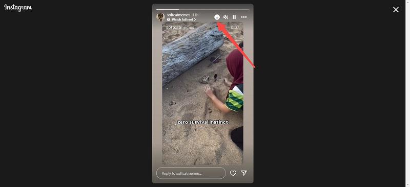 Click Down Arrow on Instagram Downloader Extension