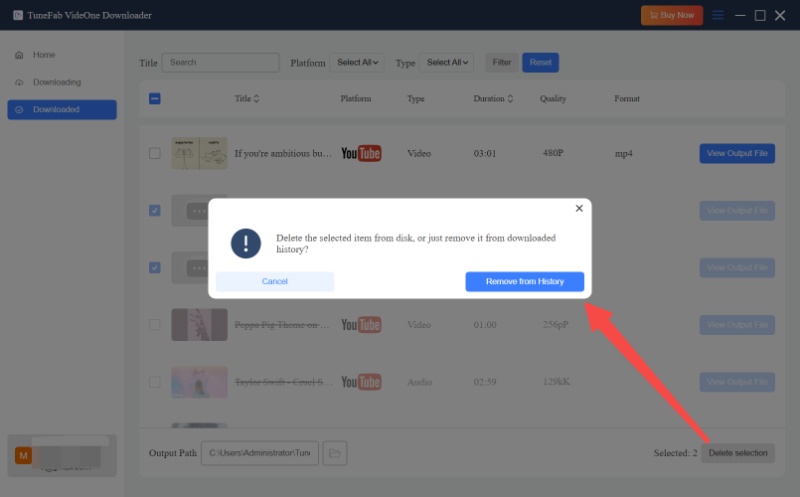 Remove Downloads from History or Delete Files
