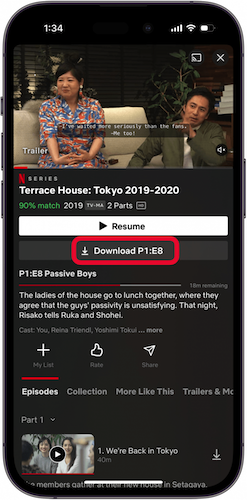 Download Movie on Netflix
