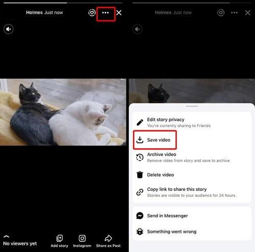 Download Own Facebook Story Videos on Phone