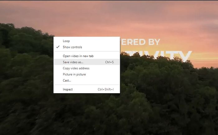 Download Private YouTube Video on VLC