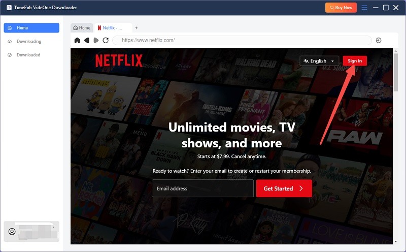 VideOne Downloader Interface