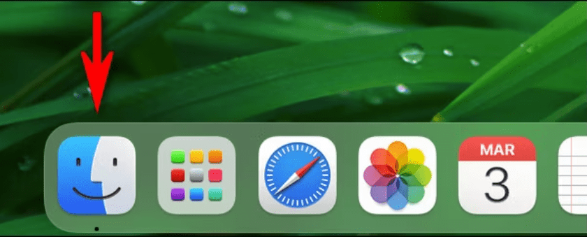 Press the Finder in the Bottom Bar