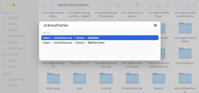 Search Cache Files on MacOS