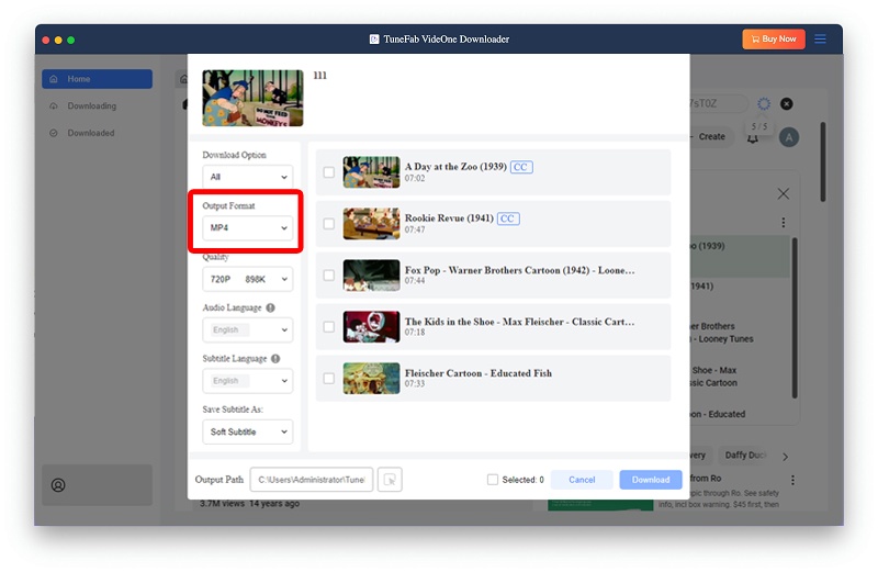 Select Output Format for Max Videos