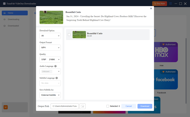 Select Options to Download Pinterest Video