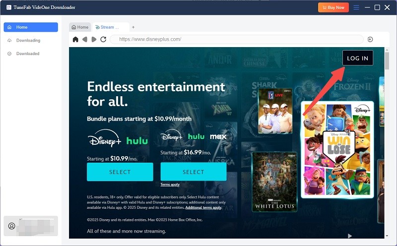 Log in Disney Plus Web Player