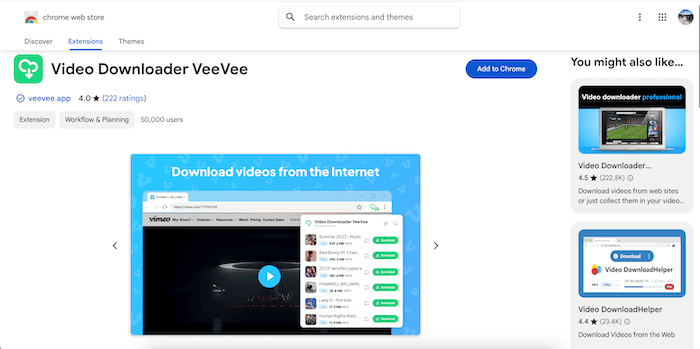 Video Downloader VeeVee Interface
