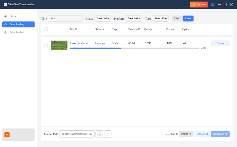 Downloading Pinterest Video Offline