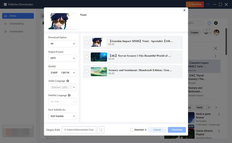 Select Output Format Quality YouTube Playlist VideOne