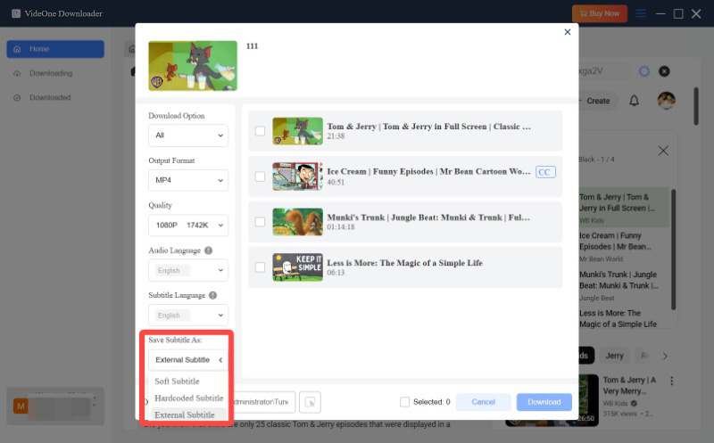Select Subtitle Type in Preferences