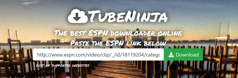 TubeNinja ESPN Downloader